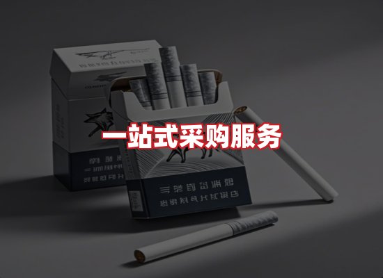 专业团队